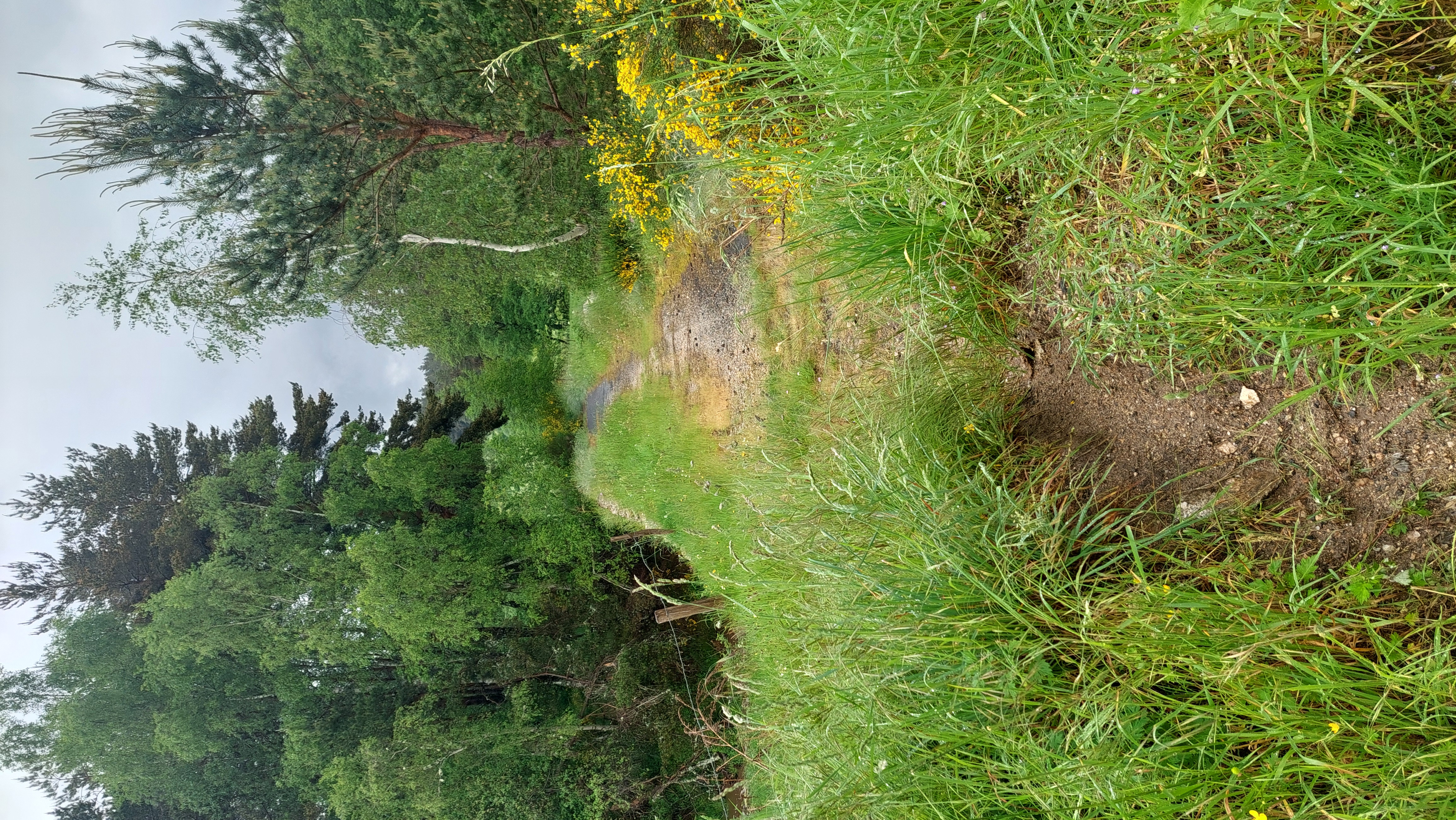 Pont La Gardelle