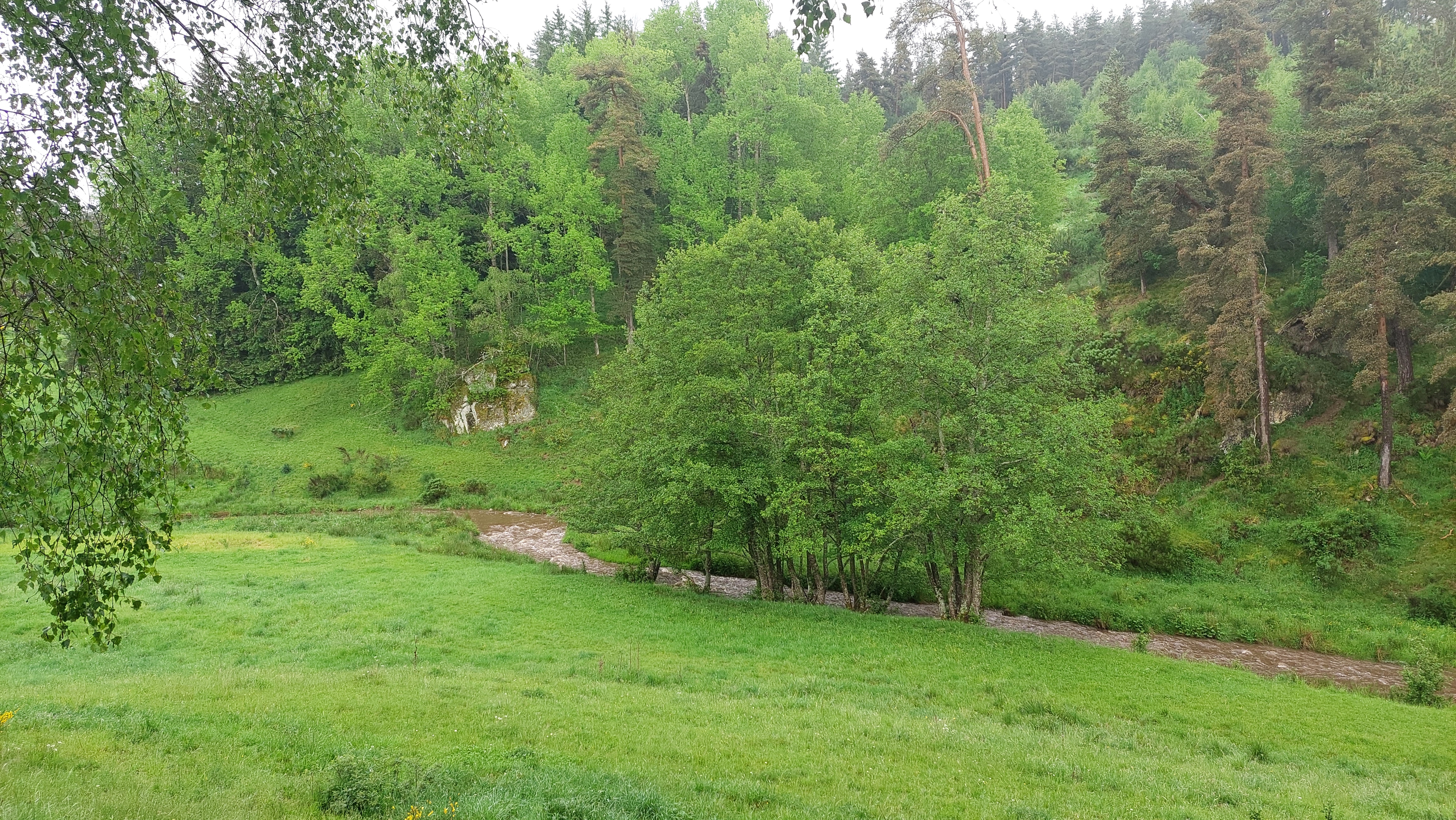 Ruisseau La Gardelle