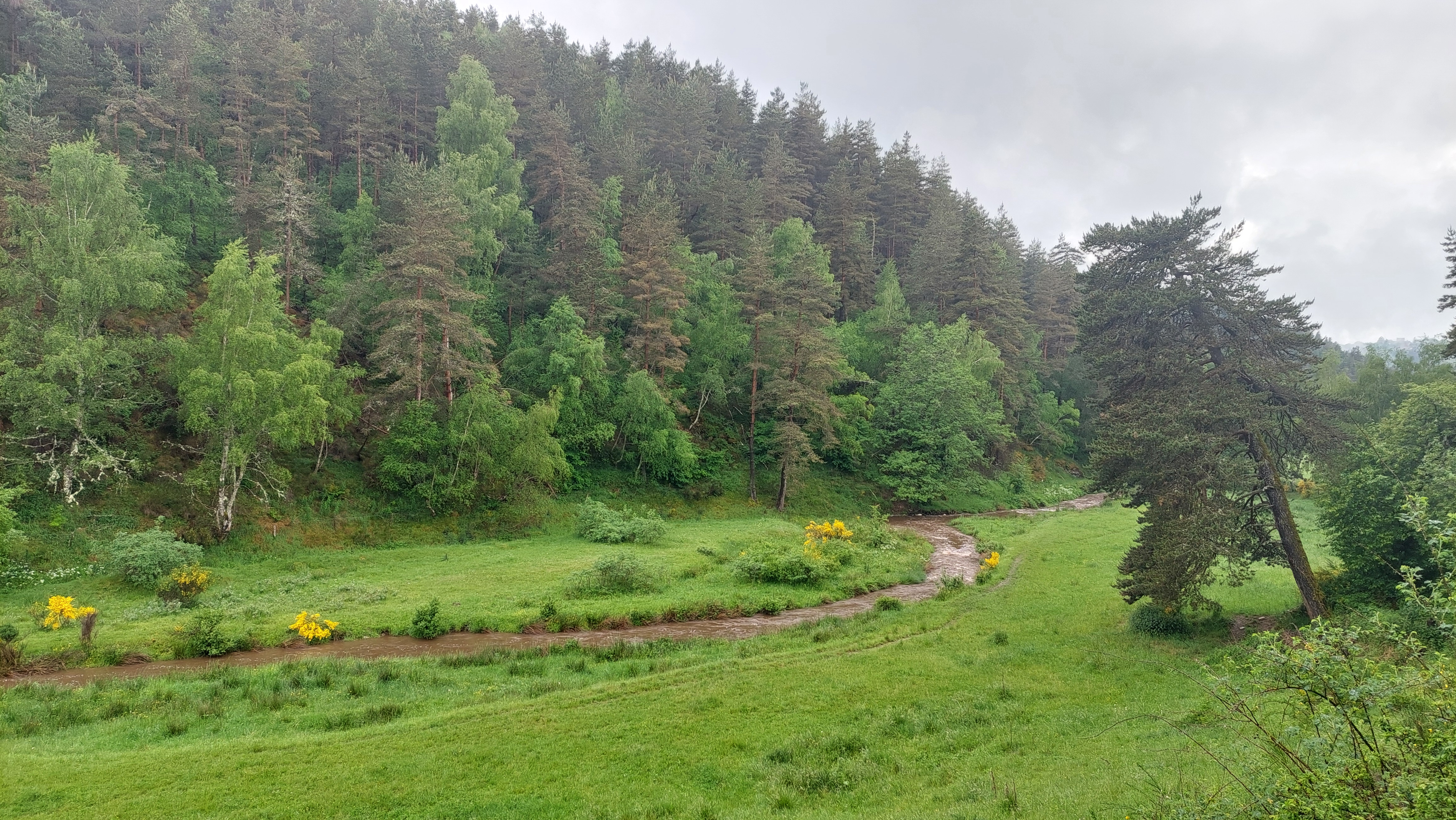 Ruisseau La Gardelle