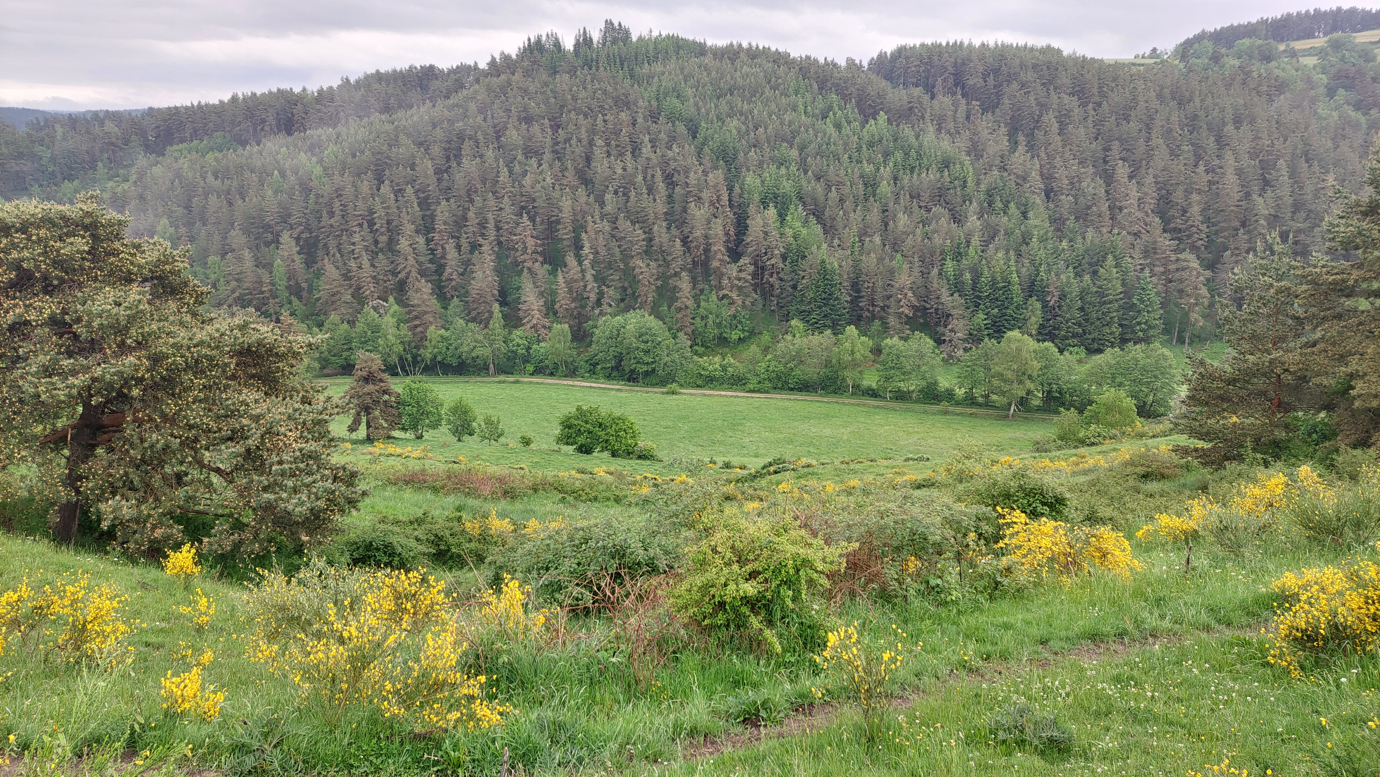 Panorama