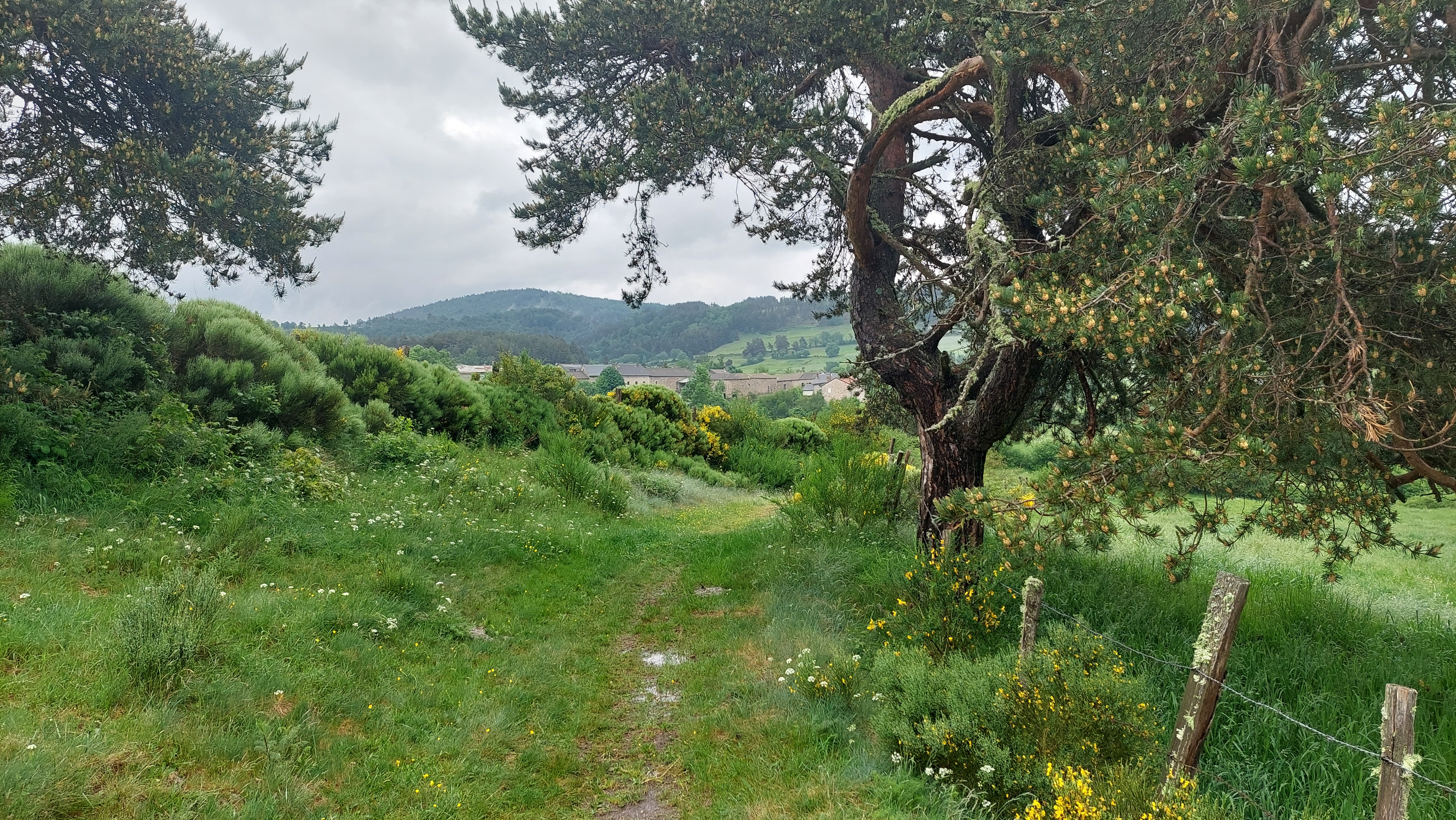 Le village