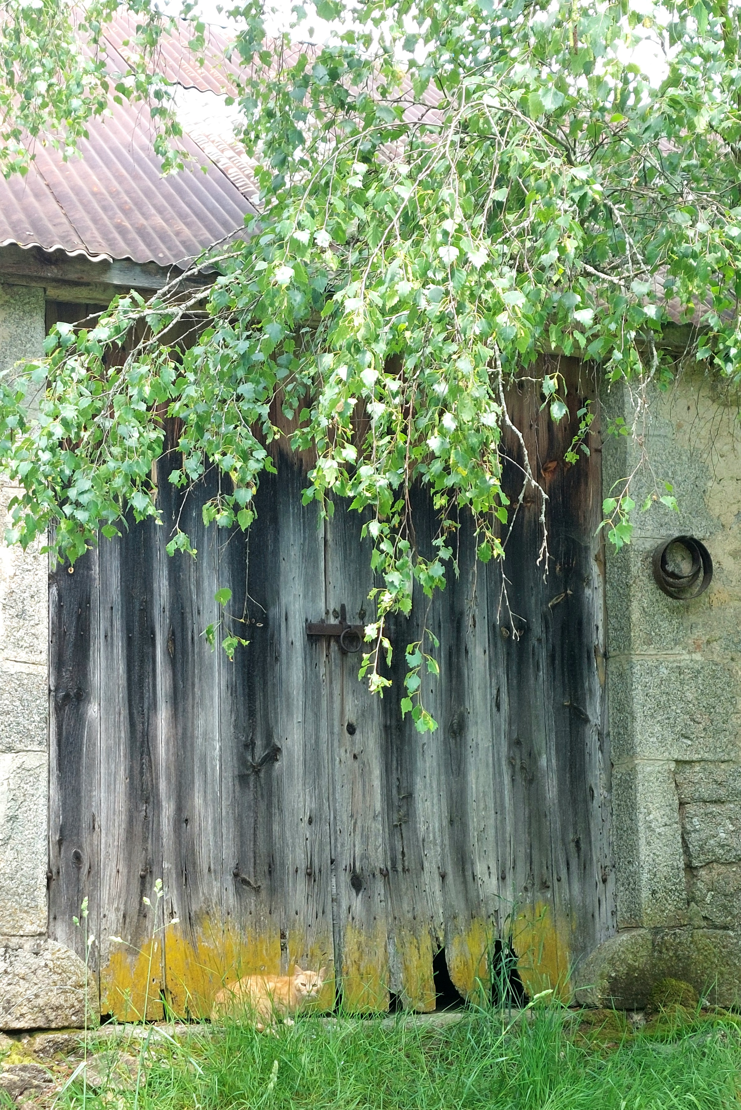 Porte
